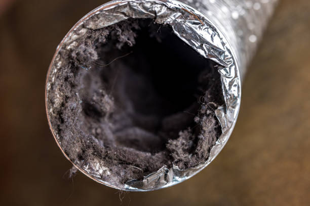 Best Emergency Air Duct Cleaning  in Allegan, MI