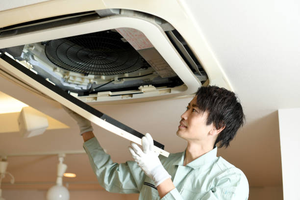 Best Residential Air Duct Cleaning  in Allegan, MI