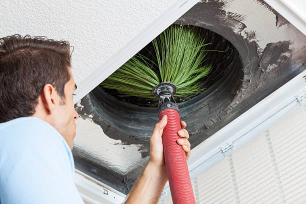 Best Affordable Duct Cleaning Services  in Allegan, MI